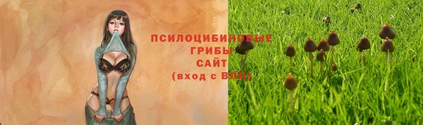 таблы Заводоуковск