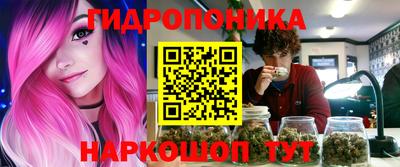 гашик Дубна