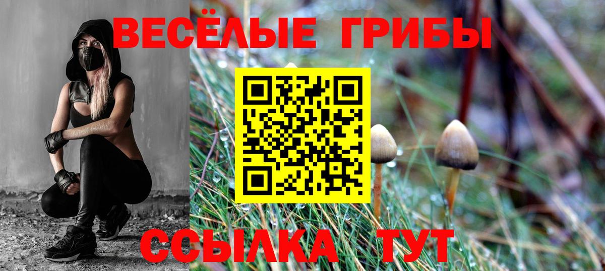 Псилоцибиновые грибы GOLDEN TEACHER Сибай
