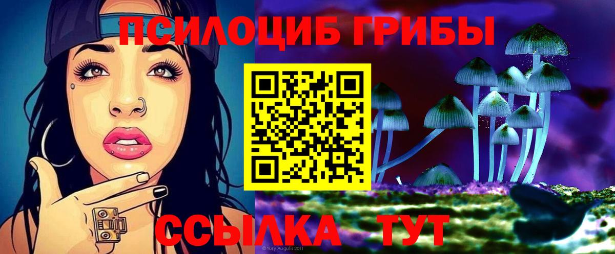 Галлюциногенные грибы MAGIC MUSHROOMS  Псилоцибиновые грибы ЛСД  закладка  Вход с VPN  Сибай 