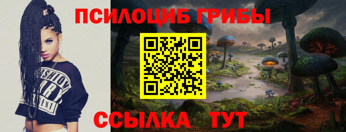 Псилоцибиновые грибы мицелий  Псилоцибиновые грибы прущие грибы  Сибай 